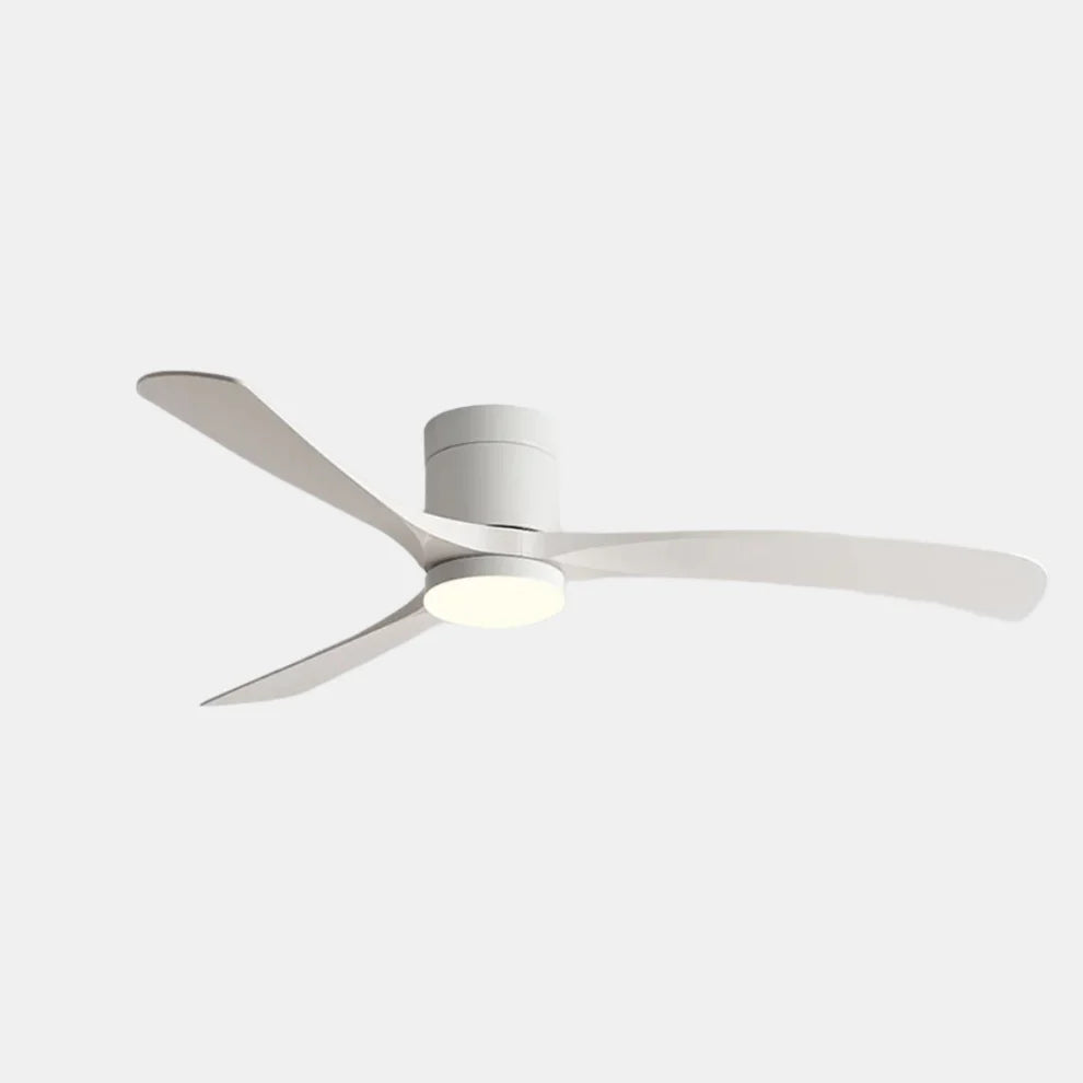 AeroLume | Quiet LED Ceiling Fan with Remote Control